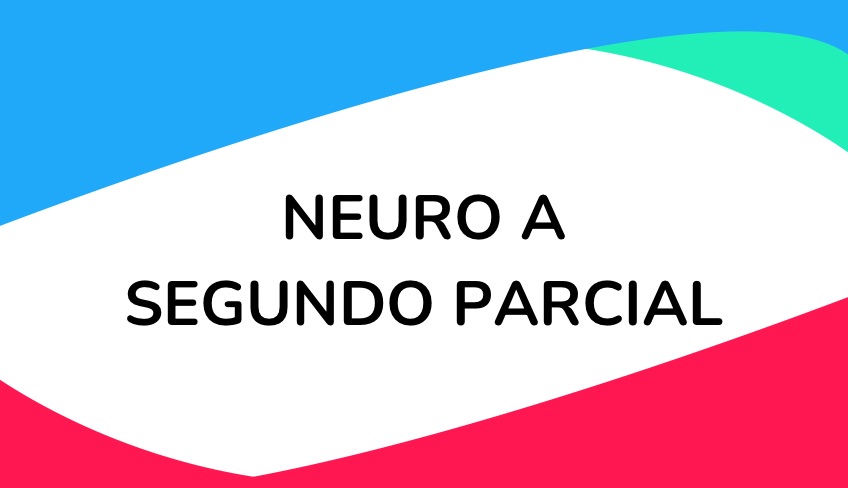 Neurofisiología A -2º parcial 2025
