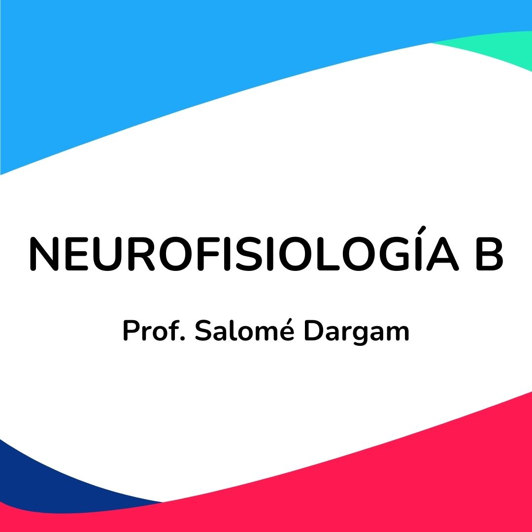 Neurofisiología - 2º parcial Septiembre