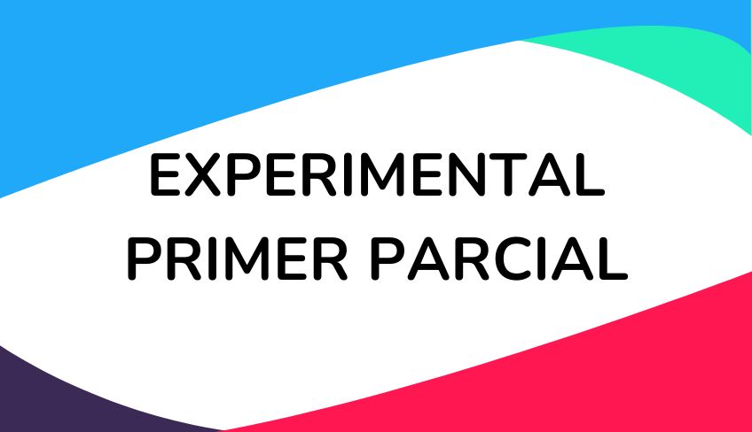Expe Primer parcial - 2025