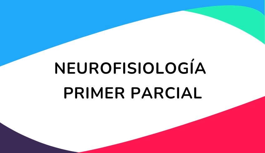 Neurofisiología A - Seguimiento Mayo 2025